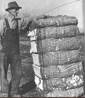 Screenshot 2023-03-16 102155